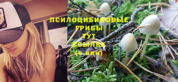 apvp Балабаново