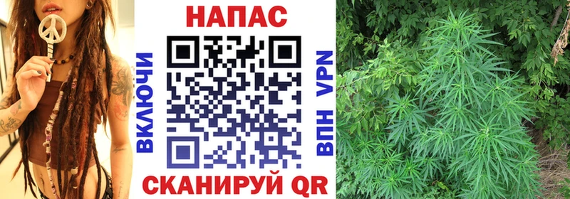 где можно купить   Нея  Конопля AK-47 